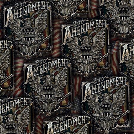 2nd Amendment Silver Eagle