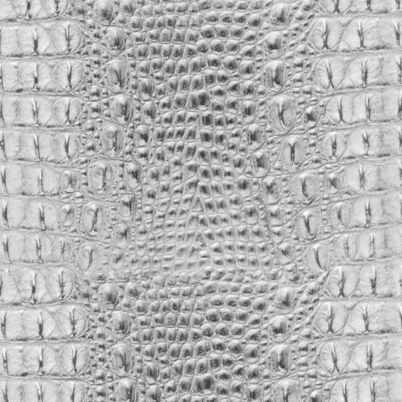 Alligator Leather Albino