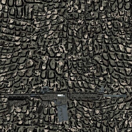 Alligator Camo 28
