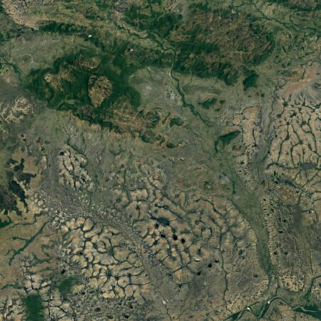 Amazon Topo Camouflage