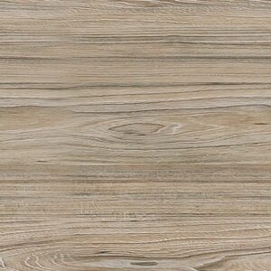 American Elm Wood