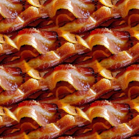 Bacon 22