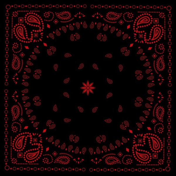 Bandanna Black with Red Print