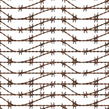 Barbed Wire 25