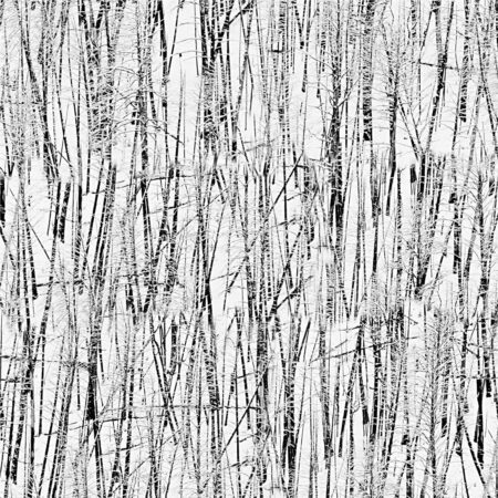 Barren Winter Camouflage