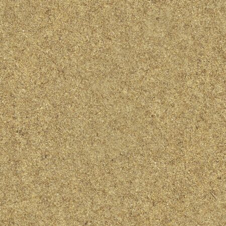 Beach Sand