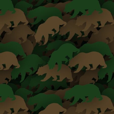 Bear Camouflage