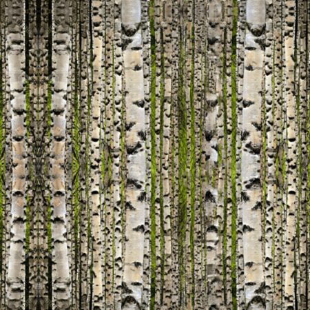 Birch Disruptive Camouflage