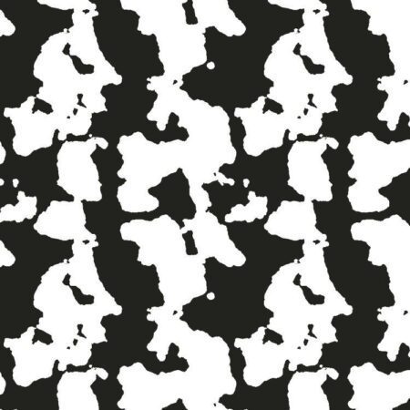 Black and White Cow Hide