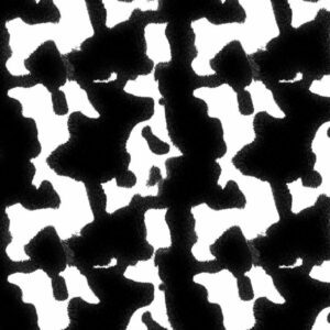 Black and White Cow Hide 23