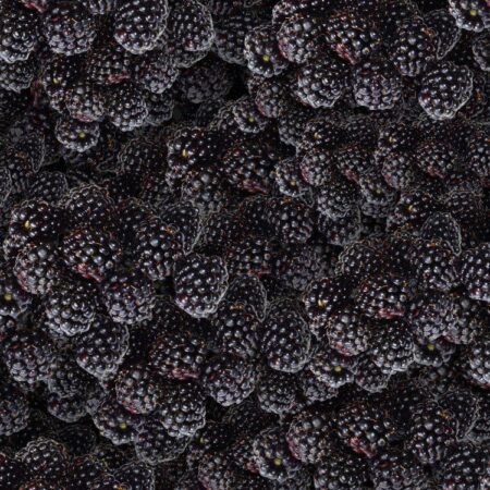 Blackberries