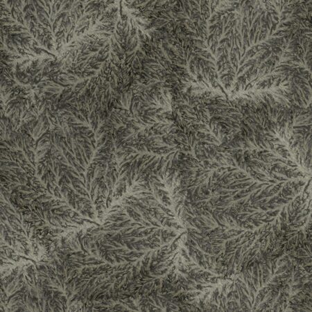 Branching 23 Camouflage