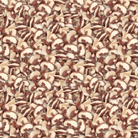 Brazil Nuts