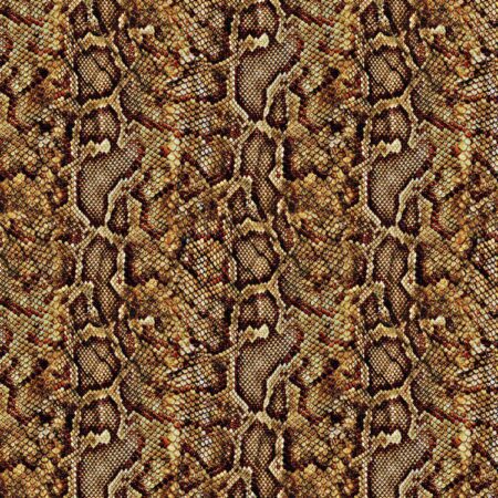 Brown Python Snake Skin