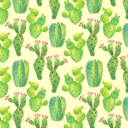 Cactus Watercolor 22