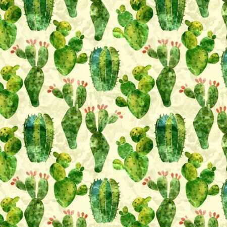 Cactus Watercolor 23