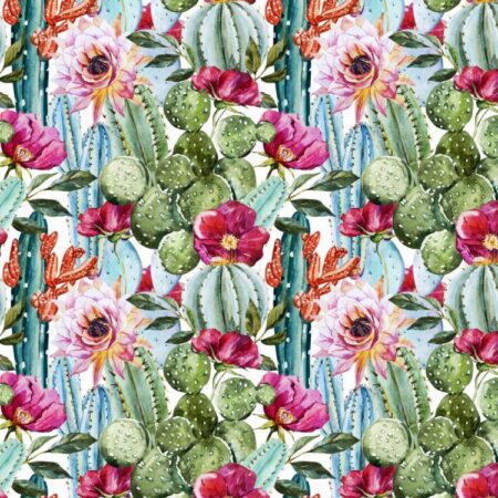 Cactus Watercolor 24