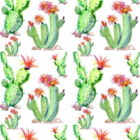 Cactus Watercolor 25