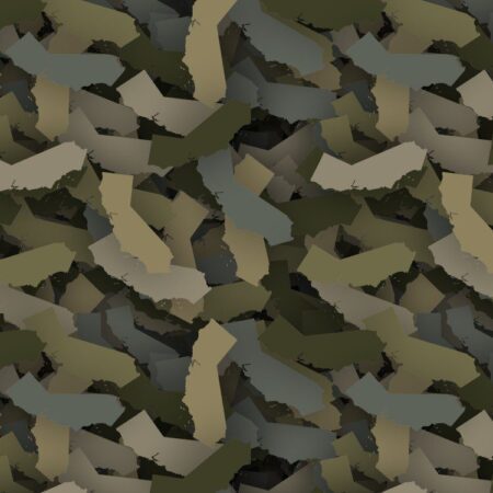 California Camouflage