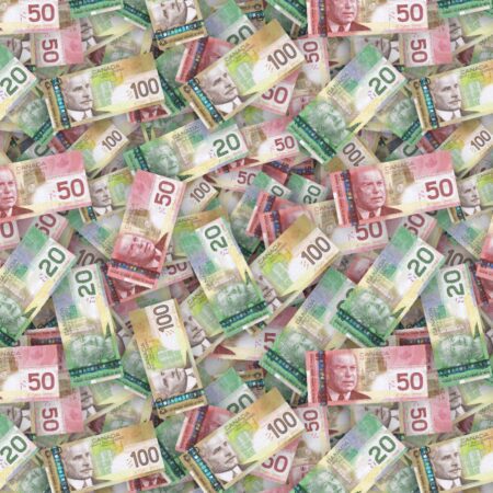 Canadian Mixed Dollar Bills