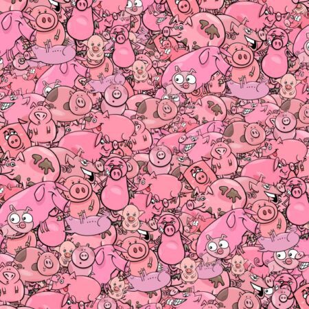 Cartoon Pigs