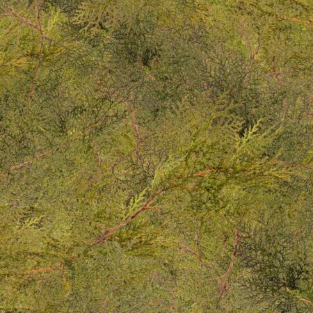 Cedar Branches 22 Camouflage