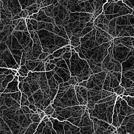 Central Nervous System 22