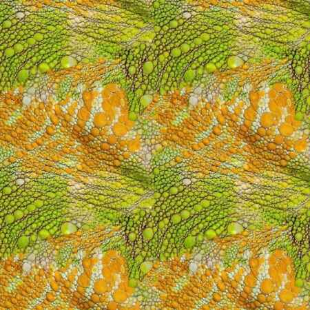 Chameleon Skin 23