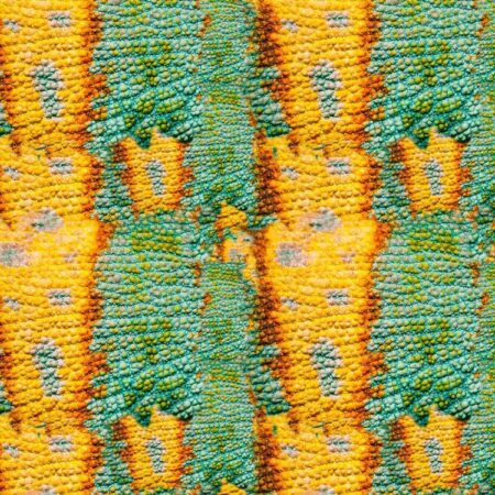 Chameleon Skin 24