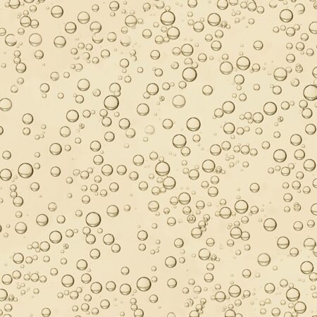 Champagne Bubbles 23