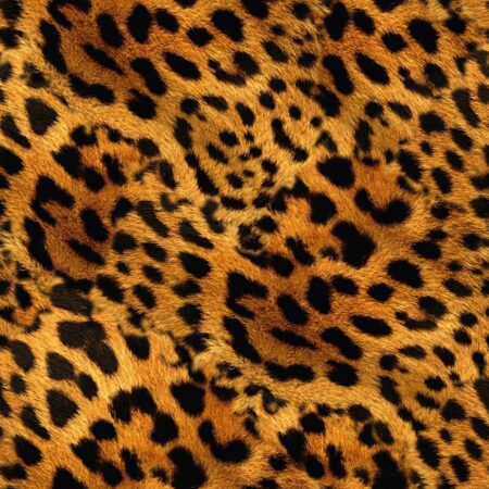 Cheetah Fur