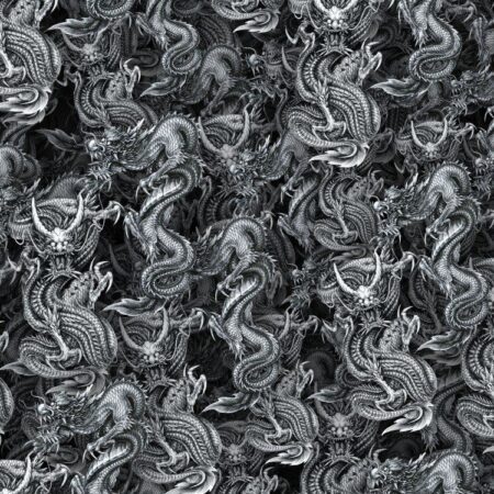 Chinese Dragon Fight