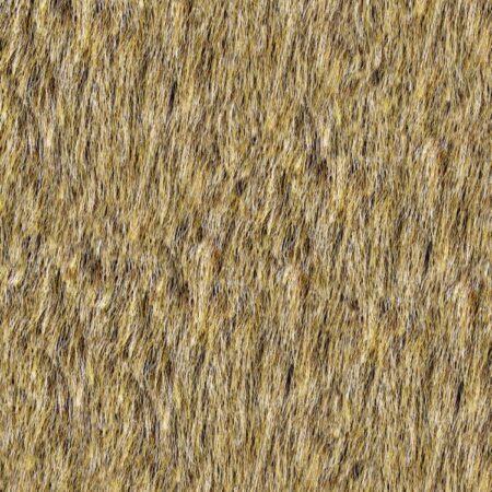 Coarse Fur