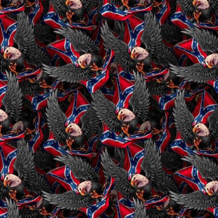 Confederate Eagles 22