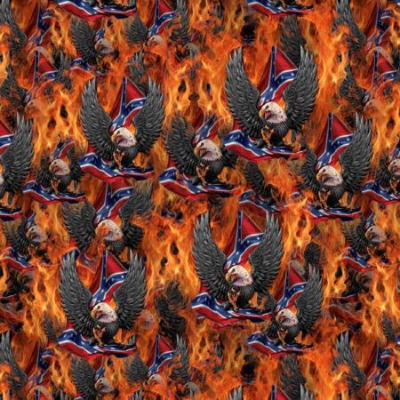 Confederate Eagles on Fire