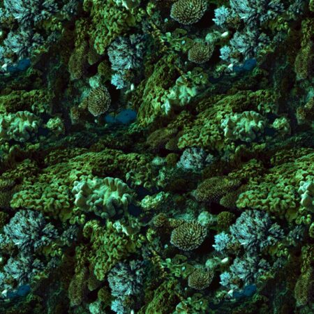 Coral Camo Underwater