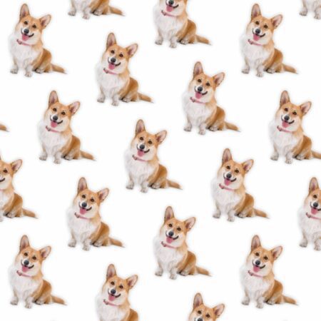 Corgis 22