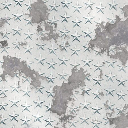 Corroded Star Plate Aluminum