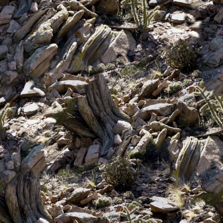 Dark Canyon 22 Camouflage