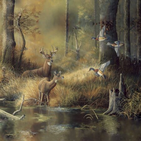 Deer Jungle