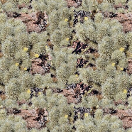 Desert Bear Camo