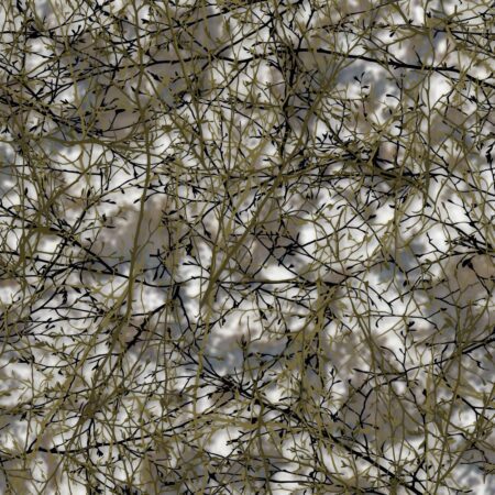 Desert Branches Camo 23