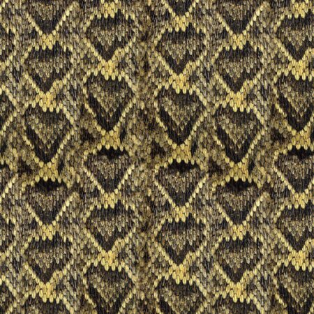 Diamondback Rattlesnake Skin