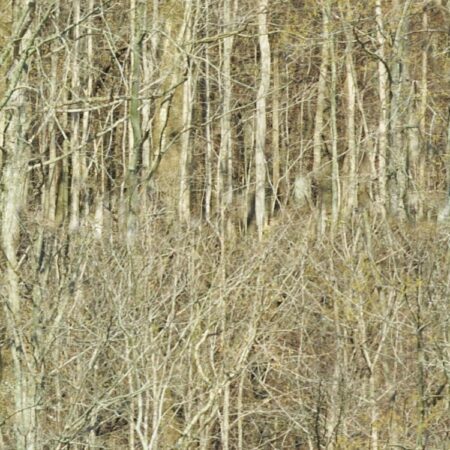 Distant Trees Camouflage