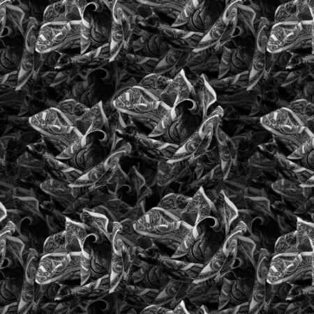 Dollar Rose Grayscale