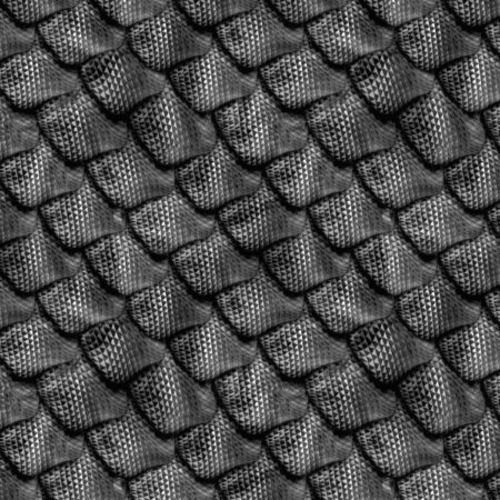 Dragon Scales 23