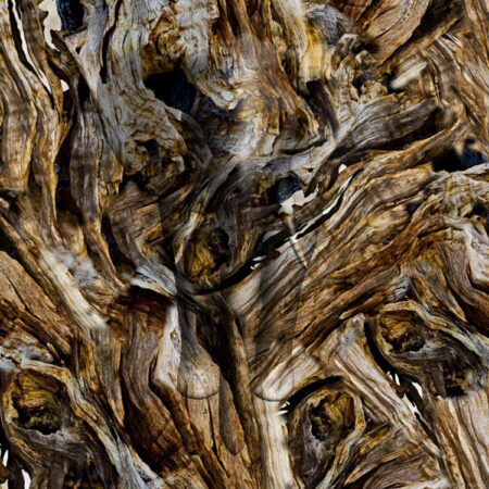 Driftwood 1