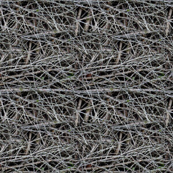 Dry Branches Camo