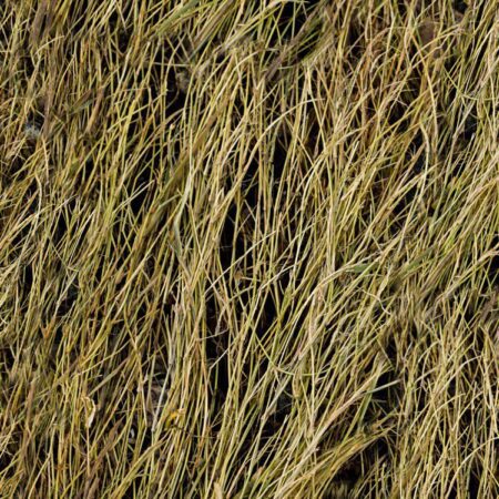 Duck Grass Camouflage