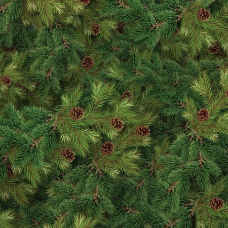 Evergreen Fir With Cones